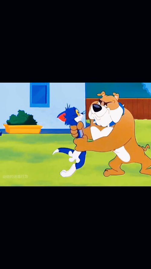 動(dòng)畫片中的離譜行為 那些匪夷所思的代理代辦名場(chǎng)面